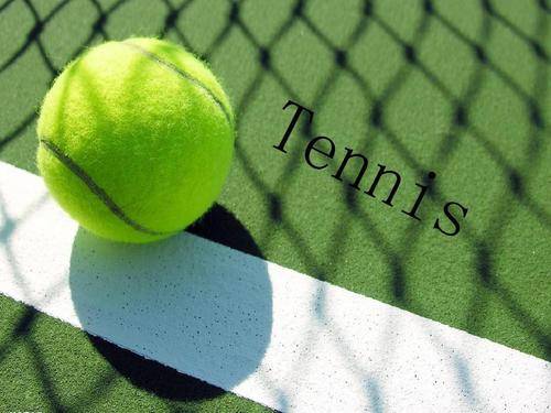 不仅展现了 不仅展现了